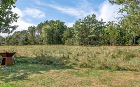 Eilke - 2Km from the Sea: Blauw, Struik, Verblijf, Groundcover, Tuin, Landgoed, Schaduw, Landscaping, Boerderij, Eco Hotel