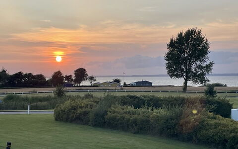 Dior - 300M from the Sea: Appartement, Condominium, Landgoed, Balkon, Villa, Hotel
