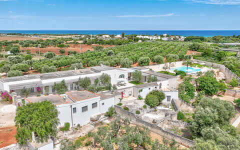 Masseria Lamagrotte: Boom, Woongebied, Landschap, Stedelijk Ontwerp, Menselijke Nederzetting, Vogelperspectief, Landgoed, Voorstad, Luchtfotografie, Landscaping