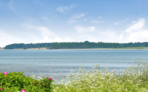 Gertje - 20M from the Sea: Blauw, Struik, Verblijf, Groundcover, Tuin, Landgoed, Schaduw, Landscaping, Boerderij, Eco Hotel