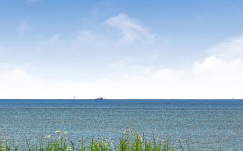 Gertje - 20M from the Sea: Blauw, Struik, Verblijf, Groundcover, Tuin, Landgoed, Schaduw, Landscaping, Boerderij, Eco Hotel