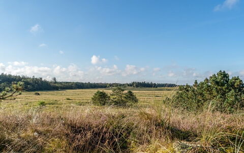 Anneka - 750M from the Sea: Lucht, Blauw, Gras, Natuurlijke Omgeving, Wolk, Grasland, Vegetation, Natuurlijk Landschap, Ecoregio, Plain