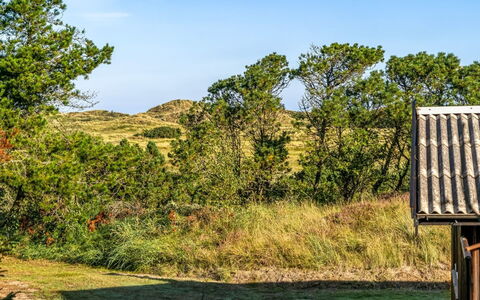 Anneka - 750M from the Sea: Lucht, Blauw, Gras, Groen, Vegetation, Natuurlijk Landschap, Grasland, Ecoregio, Struik