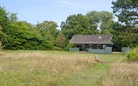 Joon - 100M from the Sea: Gras, Boom, Grasland, Vegetation, Landelijk Gebied, Huis, Plain, Struik, Verblijf