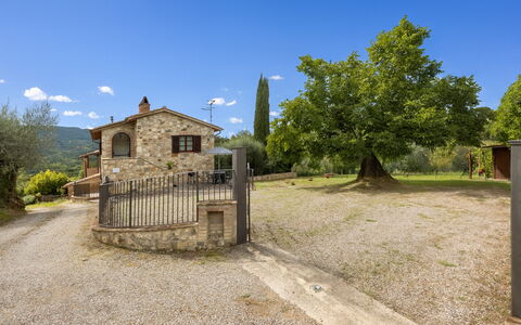 Oliveto Del Cantarello: Huis, Verblijf, Landgoed, Boerderij, Dorp, Hek, Werf, Oprit, Villa, Home Schermen