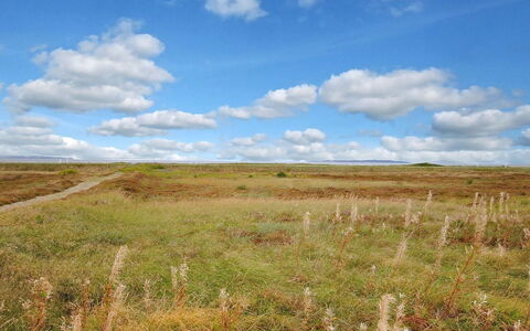Arisa - 100M to the Fjord: Huis, Dak, Huis, Verblijf, Struik, Groundcover, Landgoed, Boerderij, Siding, Garden Gebouwen