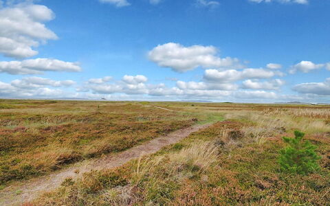 Arisa - 100M to the Fjord: Huis, Dak, Huis, Verblijf, Struik, Groundcover, Landgoed, Boerderij, Siding, Garden Gebouwen