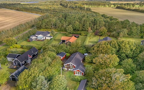 Elea - 450M to the Fjord: 
