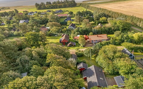 Elea - 450M to the Fjord: 