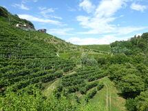 Chalet Fagarè, Pool, Sauna, Prosecco Hills