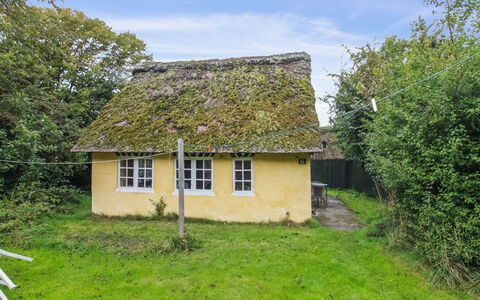 Thorfrid - 1Km from the Sea: Thatching, Dak, Huis, Verblijf, Landelijk Gebied, Land Lot, Hut, Maïskolf, Dorp, Schuur