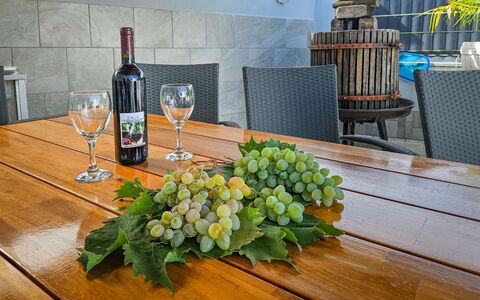 Vinovac: Meubilair, Tafel, Bloempot, Stoel, Fles, Keuken En Eettafel, Buitentafel, Kamerplant, Hardwood, Buitenmeubels