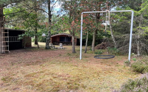 Hals 983: Boom, Gras, Land Lot, Tuin, Backyard, Bos, Gazon, Werf, Schaduw, Bodem