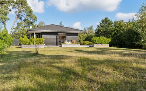 Alvia - 1.6Km from the Sea: Vegetation, Struik, De Lente, Verblijf, Tuin, Schaduw, Backyard, Werf, Stoel