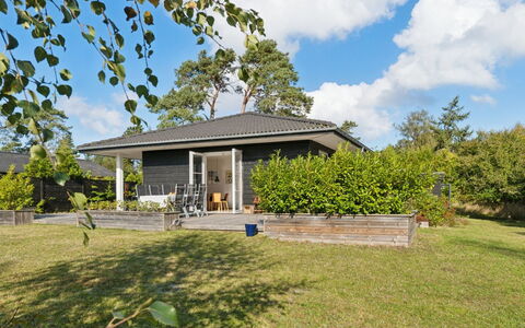 Alvia - 1.6Km from the Sea: Vegetation, Struik, De Lente, Verblijf, Tuin, Schaduw, Backyard, Werf, Stoel