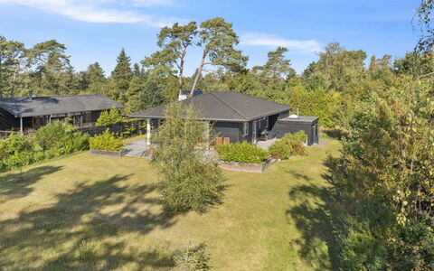 Alvia - 1.6Km from the Sea: Vegetation, Struik, De Lente, Verblijf, Tuin, Schaduw, Backyard, Werf, Stoel