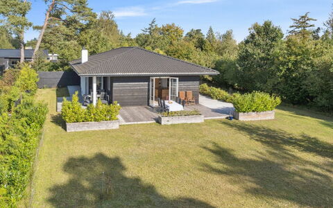 Alvia - 1.6Km from the Sea: Vegetation, Struik, De Lente, Verblijf, Tuin, Schaduw, Backyard, Werf, Stoel