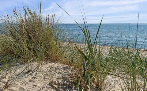 Rusalina - 20M from the Sea: Dak, Huis, Huis, Verblijf, Deur, Siding, Dek, Veranda, Plank, Hardwood