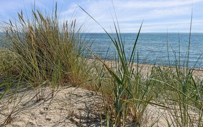 Rusalina - 20M from the Sea