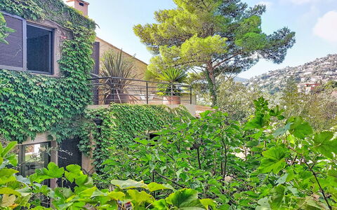 Villa 50: Vegetation, Struik, Tuin, Schaduw, Evergreen, Haag