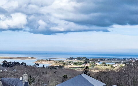Maner Roz: Kust En Oceanic Landvormen, Kust, Zee, Oceaan, Baai, Evergreen