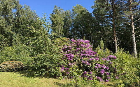 Alika - 300M from the Sea