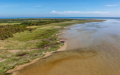 Alika - 300M from the Sea