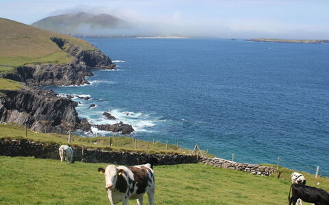 Dingle Cy (Tr4) - 3 Bed No 2: Blauw, Water, Zwemwater, Kust, Kust En Oceanic Landvormen, Natuurlijk Landschap, Heuvel, Zee, Hoogland, Headland