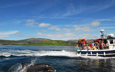 Dingle Cy (Tr4) - 3 Bed No 12: Boot, Watercraft, Zee, Oceaan, Meer, Geluid, Schip, Naval Architecture