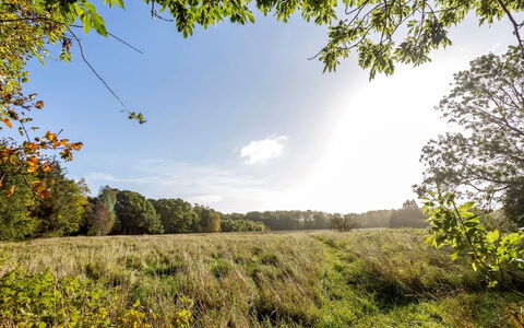 Cornel - 300M from the Sea: Blauw, Verblijf, Huis, Huis, Boerderij, Landgoed, Siding