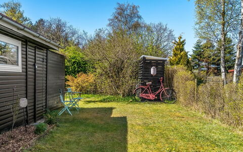 Kamilla - from the Sea: Struik, Tuin, Garden Gebouwen, Schuur, Werf, Gazon, Siding, Backyard, Landscaping
