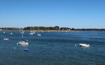 Le Nid du Golfe
