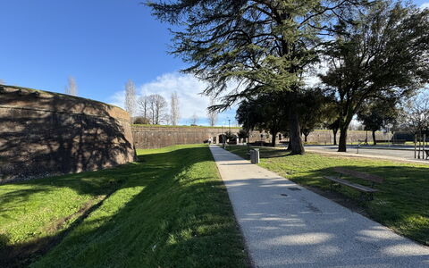 Casa Capolino: Gras, Boom, Gazon, Gang, Stoep, Landscaping, Tuin, Park, Oprit, Schaduw