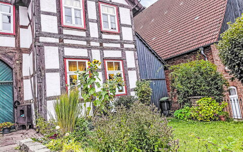 Schwalenberg 111: Struik, Huis, Huis, Tuin, Verblijf, Werf, Backyard, Landscaping, Bloempot