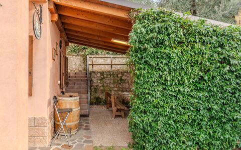 Graziella: Struik, Tuin, Schaduw, Haag, Landscaping, Backyard, Hek, Home Schermen