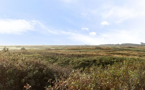 Thomine - 2.5Km from the Sea: Verblijf, Backyard, Werf, Garden Gebouwen, Schuur, Siding, Buitenmeubels, Blokhut, Outdoor Structuur, Keet