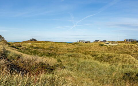 Sigbritt - 750M from the Sea: Lucht, Blauw, Gras, Grasland, Ecoregio, Vegetation, Horizon, Landschap, Plantengemeenschap, Plain
