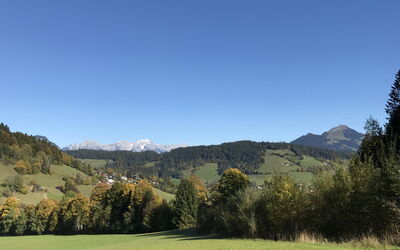 Schwarzenau