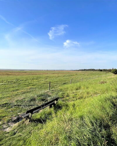 Antonina - 775M from the Sea