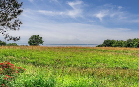 Sigbrit - 100M from the Sea: Dak, Huis, Huis, Verblijf, Siding, Landgoed, Oprit, Garden Gebouwen, Werf, Schuur