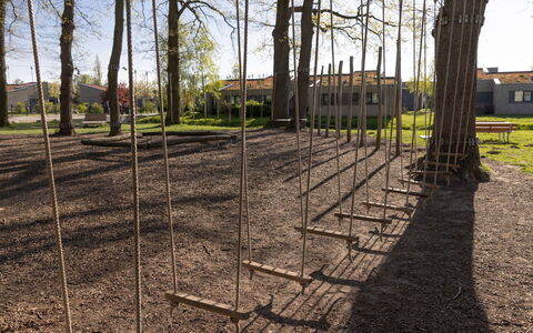 Penthouse Seeblick: Hout, Openbare Ruimte, Trunk, Schaduw, Woody Plant, Park, Gazon, Bodem, Bos, Landscaping