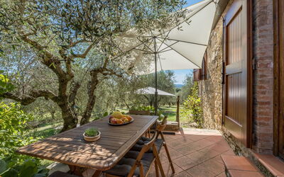 Accommodatie:&nbsp;La Foresta 625.4