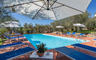 Accommodatie:&nbsp;La Foresta 625.3