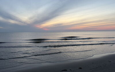 Vilhelm - 10Km from the Sea