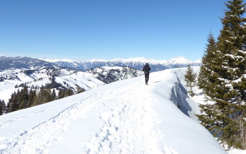 Casa Ines, Feltre: Lucht, Sneeuw, Berg, Bergachtig Landvormen, Winter, Bergketen, Wildernis, Terrein, Glacial Landform