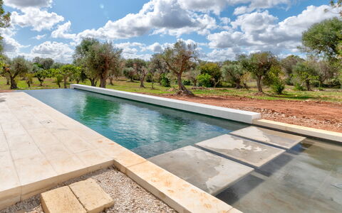 Villa Manè: Samengesteld Materiaal, Zwembad, Waterpartij, Reflectie, Landscaping, Tegel, Reflecting Pool, Gang