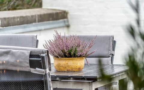 Ketilbiorn - 700M from the Sea: Meubilair, Buitenmeubels, Bloempot, Stoel, Tuin, Kamerplant, Buitentafel, Patio, Backyard