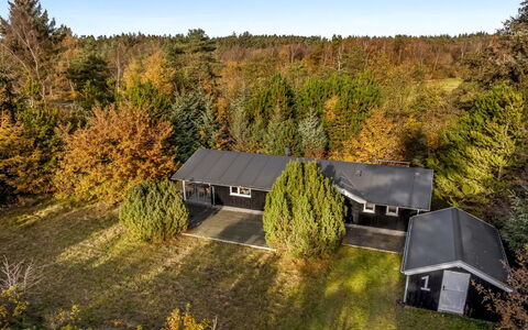 Peder - 4Km from the Sea: Verblijf, Backyard, Werf, Garden Gebouwen, Schuur, Siding, Buitenmeubels, Blokhut, Outdoor Structuur, Keet