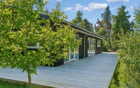 Amitola - 800M from the Sea: Groen, Struik, Groundcover, De Lente, Verblijf, Tuin, Schaduw, Siding, Landscaping, Garden Gebouwen