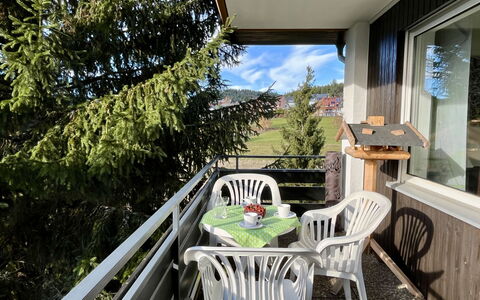 Sonnige Aussichten: Meubilair, Stoel, Veranda, Buitenmeubels, Balkon, Keuken En Eettafel, Schaduw, Werf, Beits